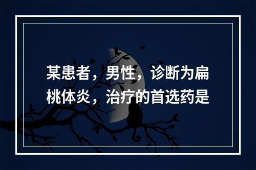 某患者，男性，诊断为扁桃体炎，治疗的首选药是