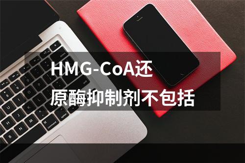 HMG-CoA还原酶抑制剂不包括