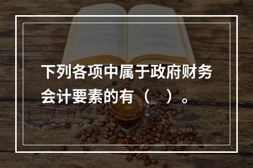 下列各项中属于政府财务会计要素的有（　）。