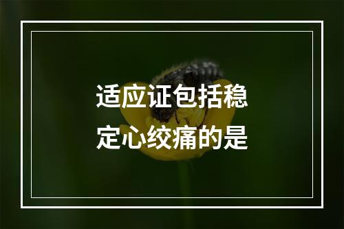 适应证包括稳定心绞痛的是