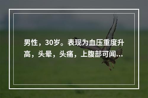 男性，30岁。表现为血压重度升高，头晕，头痛，上腹部可闻及血