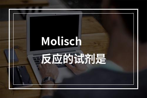 Molisch反应的试剂是