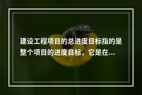 建设工程项目的总进度目标指的是整个项目的进度目标，它是在（　