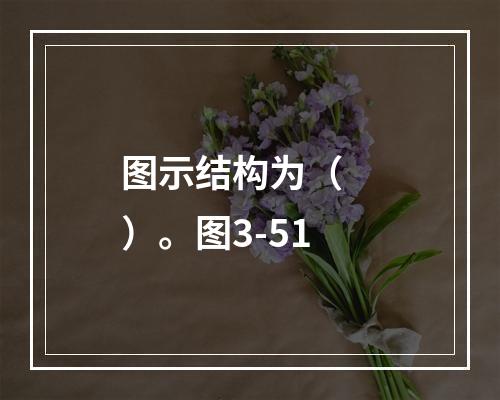 图示结构为（　　）。图3-51