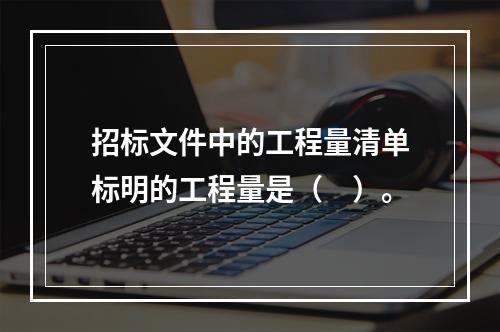 招标文件中的工程量清单标明的工程量是（　）。