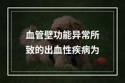 血管壁功能异常所致的出血性疾病为