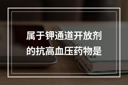 属于钾通道开放剂的抗高血压药物是