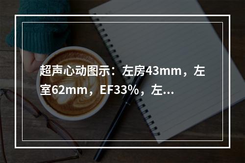 超声心动图示：左房43mm，左室62mm，EF33％，左室可