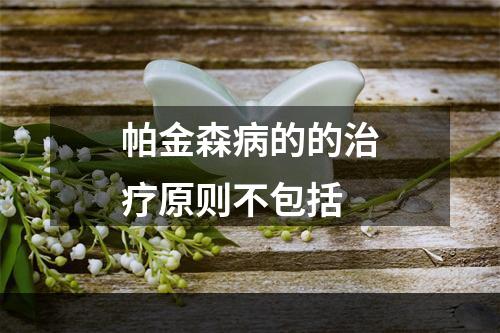 帕金森病的的治疗原则不包括