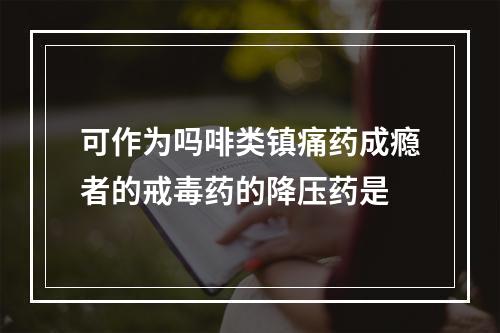 可作为吗啡类镇痛药成瘾者的戒毒药的降压药是