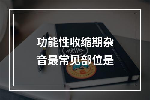 功能性收缩期杂音最常见部位是