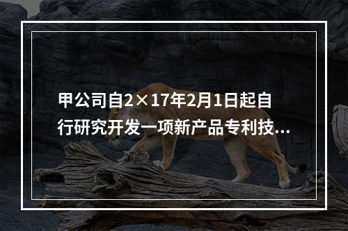 甲公司自2×17年2月1日起自行研究开发一项新产品专利技术，