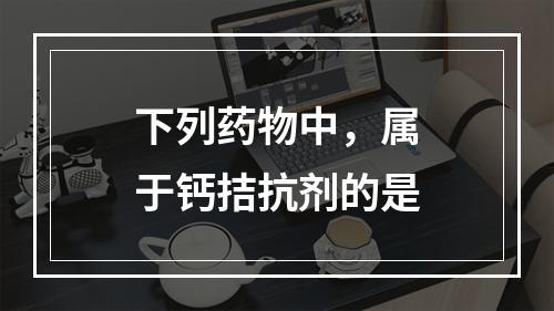 下列药物中，属于钙拮抗剂的是