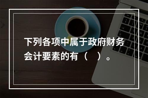 下列各项中属于政府财务会计要素的有（　）。