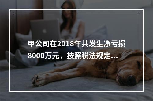 甲公司在2018年共发生净亏损8000万元，按照税法规定，该