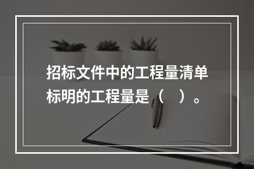 招标文件中的工程量清单标明的工程量是（　）。