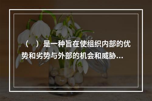 （　）是一种旨在使组织内部的优势和劣势与外部的机会和威胁相