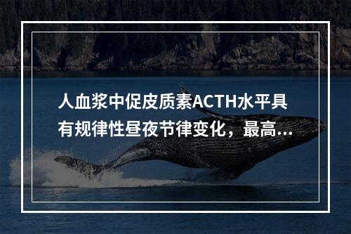 人血浆中促皮质素ACTH水平具有规律性昼夜节律变化，最高峰的