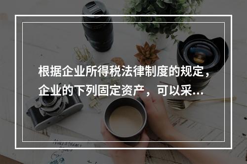 根据企业所得税法律制度的规定，企业的下列固定资产，可以采用加