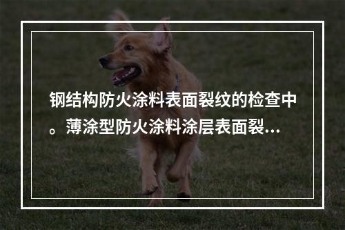 钢结构防火涂料表面裂纹的检查中。薄涂型防火涂料涂层表面裂纹宽