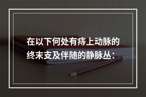 在以下何处有痔上动脉的终末支及伴随的静脉丛：