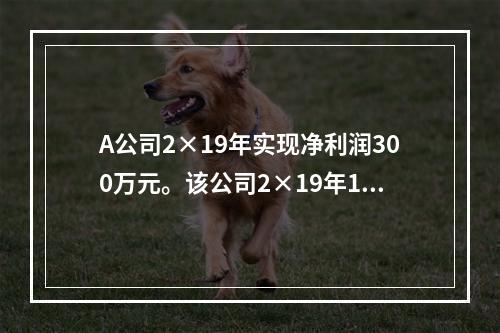 A公司2×19年实现净利润300万元。该公司2×19年12月