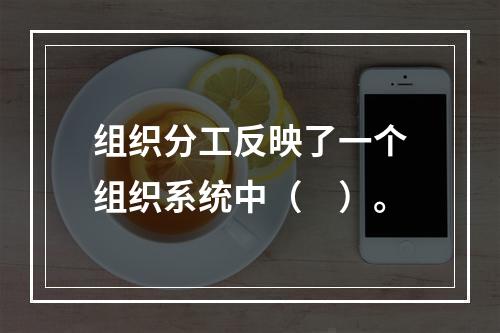 组织分工反映了一个组织系统中（　）。