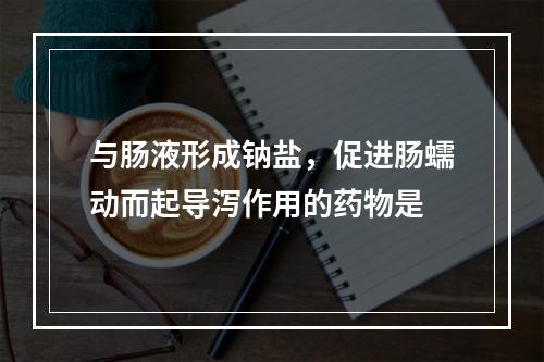 与肠液形成钠盐，促进肠蠕动而起导泻作用的药物是