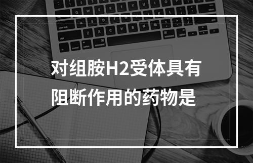 对组胺H2受体具有阻断作用的药物是