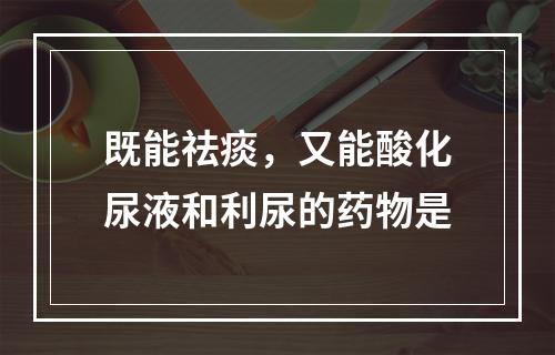 既能祛痰，又能酸化尿液和利尿的药物是