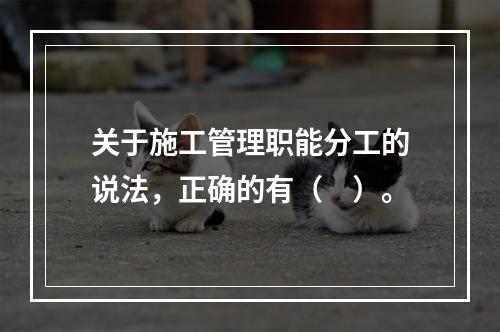 关于施工管理职能分工的说法，正确的有（　）。