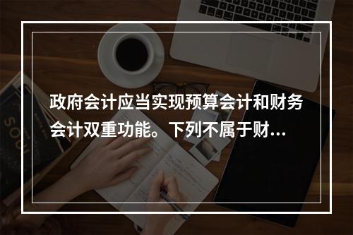 政府会计应当实现预算会计和财务会计双重功能。下列不属于财务会