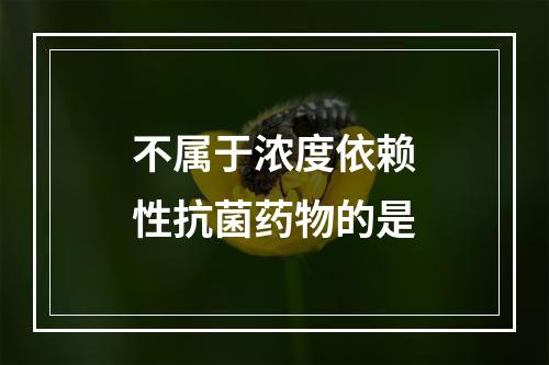 不属于浓度依赖性抗菌药物的是