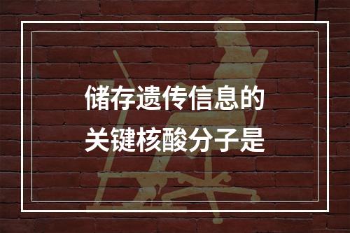 储存遗传信息的关键核酸分子是