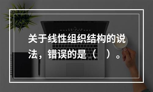 关于线性组织结构的说法，错误的是（　）。