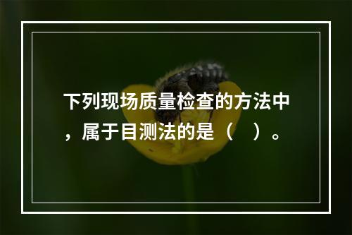 下列现场质量检查的方法中，属于目测法的是（　）。