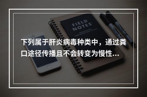 下列属于肝炎病毒种类中，通过粪口途径传播且不会转变为慢性肝炎