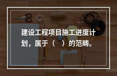 建设工程项目施工进度计划，属于（　）的范畴。