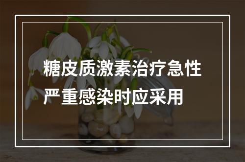 糖皮质激素治疗急性严重感染时应采用