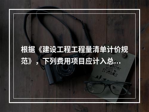 根据《建设工程工程量清单计价规范》，下列费用项目应计入总承包