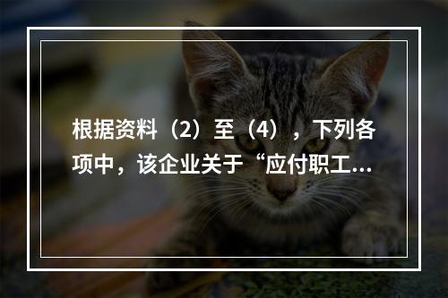 根据资料（2）至（4），下列各项中，该企业关于“应付职工薪酬