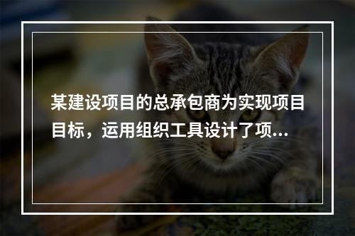 某建设项目的总承包商为实现项目目标，运用组织工具设计了项目组