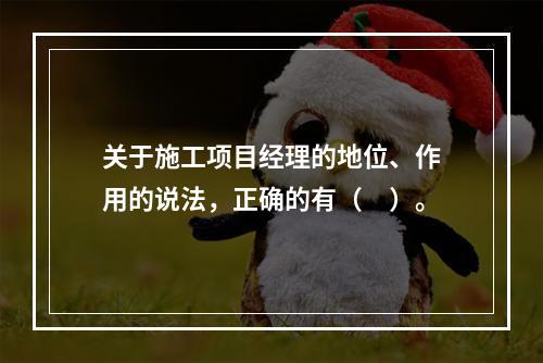 关于施工项目经理的地位、作用的说法，正确的有（　）。