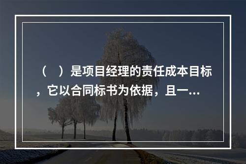 （　）是项目经理的责任成本目标，它以合同标书为依据，且一般情