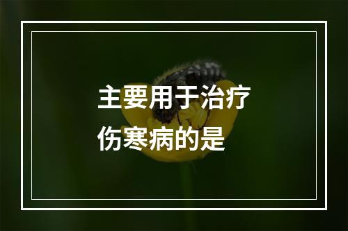 主要用于治疗伤寒病的是