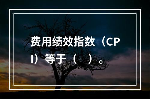 费用绩效指数（CPI）等于（　）。