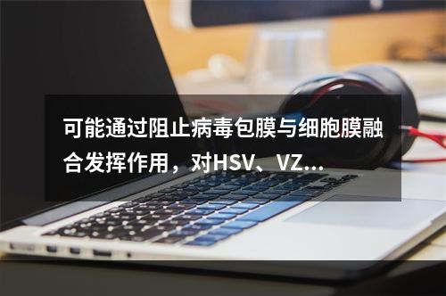 可能通过阻止病毒包膜与细胞膜融合发挥作用，对HSV、VZV、