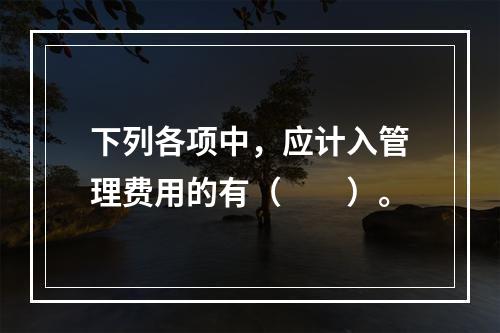 下列各项中，应计入管理费用的有（　　）。