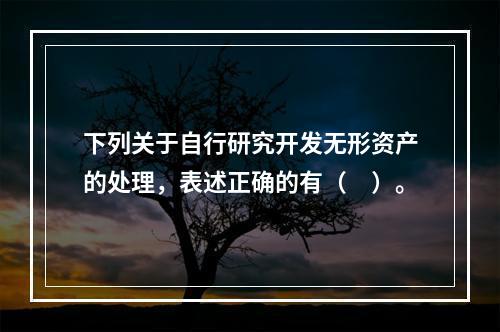 下列关于自行研究开发无形资产的处理，表述正确的有（　）。