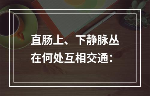 直肠上、下静脉丛在何处互相交通：